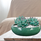 Cuia Cerâmica Adenium Verde 8,5x29cm Bella Art