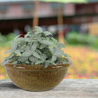 Cuia Cerâmica BN Bege 12x28cm Bella Art