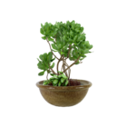 Cuia Cerâmica BN Bege 12x28cm Bella Art