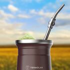 Cuia Térmica Tupi Em Aço Inox Para Chimarrão Tereré 250ml - W