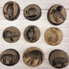 Cuíte Cuia/cabaça Indígena Etnia Tikuna Tam. M - Modelo Tucano