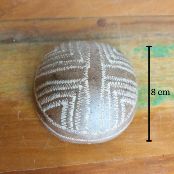 Cuíte Cuia/Cabaça Indígena Etnia Tikuna Tam. P - Mod. 1