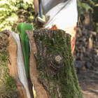 Cunha para Machado 23cm Geolia