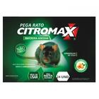 Cupinicida Termimax Fipronil Citromax