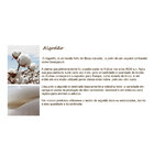 Cúpula Cilíndrica 20x20 Bege