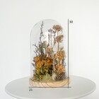 Cúpula Grande De Flores Desidratadas Alvejadas