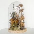 Cúpula Grande De Flores Desidratadas Alvejadas