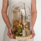 Cúpula Grande De Flores Desidratadas Alvejadas