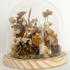 Cúpula Média De Flores Desidratadas Alvejadas