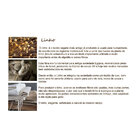 Cúpula Trapézio M Linho