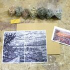 Curso De Mosaico Impressionista Modulo 5