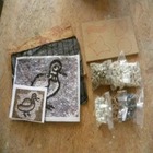 Curso De Mosaico Romano Modulo 1