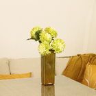 Dalia Frantonio Chá