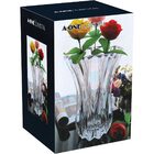 Darby Vaso Decorativo Enfeite 25.5x17x17cm Vidro Transparente