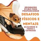 Ddr Brinquedo Dispenser De Ração E Petiscos Buddy Toys Para C