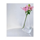 Decanter Em Vidro Bon Gourmet 1 Litro