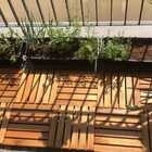 Deck De Madeira Modular 20x20 Cm Réguas 4 Cm Pintado Neonx -