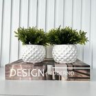 Decoração 3 Peças Livro Porta Objetos E Dupla Vaso Branco