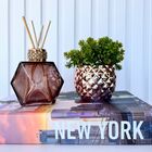 Decoração 3 Peças Livro Porta Objetos, Vaso Rosê E Difusor