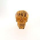 Decoração Caveira Resina De Varias Cores - Enfeite - Amarelo