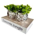 Decoração Livro Enfeite Sala Estante E Dupla Vaso Prateado