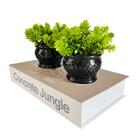 Decoração Livro Enfeite Sala Estante E Dupla Vaso Preto