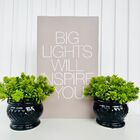 Decoração Livro Enfeite Sala Estante E Dupla Vaso Preto