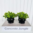 Decoração Livro Enfeite Sala Estante E Dupla Vaso Preto