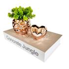 Decoração Livro Enfeite Sala Estante Kit Com 3 Peças Decor