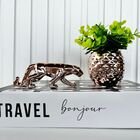 Decoração Livro Fake, Vaso Cachepô Rose E Enfeite Pantera