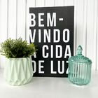 Decoração Livro Fake, Vaso Cachepô Verde E Potiche De Vidro