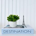 Decoração Livro Porta Objetos + Vaso Branco + Torre Eiffel