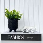 Decoração Livro Preto/branco + Vaso Tripé + Enfeite Pantera