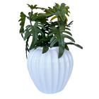 Decoração Mesa Sala Centro De Mesa Branco Cerâmico Decor