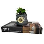 Decoração Sala Aparador Livro Caixa + Vaso Sweet Com Planta