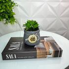 Decoração Sala Aparador Livro Caixa + Vaso Sweet Com Planta