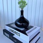 Decoração Sala Dupla Livro Fake + Vaso Garrafa Aladim Decor