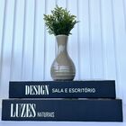 Decoração Sala Dupla Livro Fake + Vaso Garrafa Bege Decor