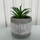 Decoração Sala Jardim Vaso Cachepot De Cimento P/ Suculenta