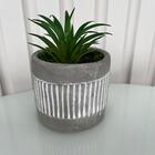 Decoração Sala Jardim Vaso Cachepot De Cimento P/ Suculenta