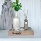 Decoração Sala Livro Caixa + Vaso Garrafa + Difusor Âmbar