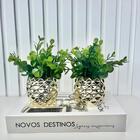 Decoração Sala Livro Caixa Fake + Dupla Vaso Dourado Decor