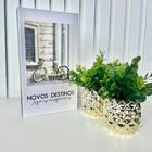 Decoração Sala Livro Caixa Fake + Dupla Vaso Dourado Decor