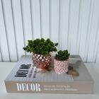 Decoração Sala Livro Caixa Fake + Vaso Cachepô + Mini Vaso