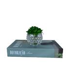 Decoração Sala Livro Caixa Fake + Vaso De Vidro C/ Suculenta