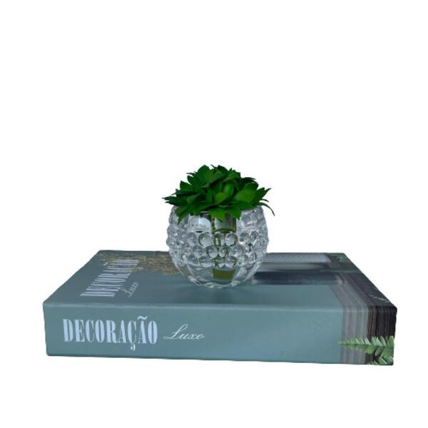 Decoração Sala Livro Caixa Fake + Vaso De Vidro C/ Suculenta