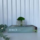 Decoração Sala Livro Caixa Fake + Vaso De Vidro C/ Suculenta