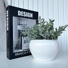 Decoração Sala Livro Design + Vaso Cachepô Lorance Branco