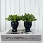 Decoração Sala Livro Fake + Dupla Vaso Athenas Preto Decor