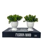 Decoração Sala Livro Fake + Dupla Vaso Branco Taça Athenas